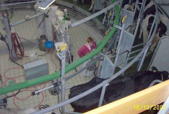 bauernho1.jpg (43807 Byte)