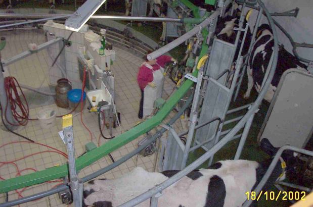 bauernho2.jpg (51240 Byte)