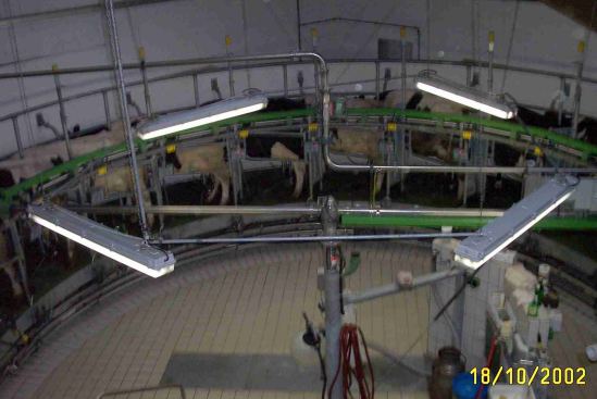 bauernhof 6.jpg (34953 Byte)