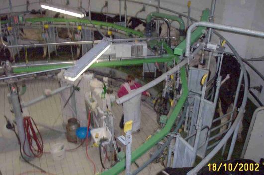 bauernhof 7.jpg (38482 Byte)